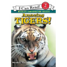 Amazing Tigers!