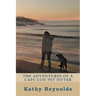 The Adventures of a Cape Cod Pet Sitter