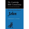 The Gospel According to John