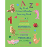 My First Infant & Toddles Learning Book: FUN A-Z, SHAPES, COLOURS, NUMBERS & BEAUTIFUL ANIMALS, FRUITS, VEGETABLE PICTURES.: Perfect for children age