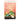 The Alice B. Toklas Cook Book