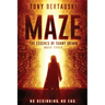 Maze: The Essence of Sunny Grimm (A Cyberpunk Thriller)