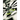 Point of Connection