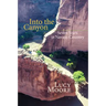 Into the Canyon: Seven Years in Navajo Country