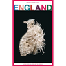 England. Tim Crouch