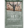 The Sea Their Graves: An Archaeology of Death and Remembrance in Maritime Culture