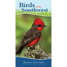 Birds of the Southwest: Your Way to Easily Identify Backyard Birds