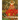 Faeries: A History in Art, Verse, and Lore