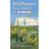 Wildflowers and Grasses of Kansas: A Field Guide, Revised and Expanded Edition