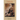 Darwin: A Companion