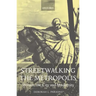 Streetwalking the Metropolis: Women, the City, and Modernity