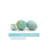 Gestation
