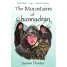 The Mountains of Channadran: Wizard's Destiny