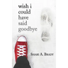 Wish I Could Have Said Goodbye