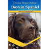 Boykin Spaniels: Divine Dogs Online