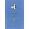 100 Limericks for the First 100 Days of Biden