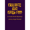 Looking For Lady Dee: A Punk Rock Mystery