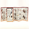 Sibley's Raptors of Eastern N.A.
