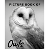 Picture Book of Owls: The Picture Book for Alzheimer's Patients and Seniors with Dementia.