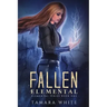 Fallen Elemental: A Reverse Harem Story