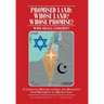 Promised Land: Whose Land? Whose Promise?: WHO SHALL INHERIT? A complete History of God and Humanity with Reference to Middle East