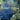 Planet Ocean: Photo-Journey Through Earth's Most Advanced Civilization