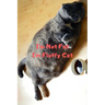 I'm Not Fat I'm Fluffy Cat Gift For Mom Wife Lover Women Sister Nurse