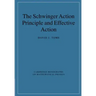 The Schwinger Action Principle and Effective Action