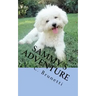 Sammy's Adventure