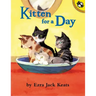 Kitten for a Day