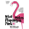 What Makes Flamingos Pink?: A Colorful Collection of Q & A's for the Unquenchably Curious