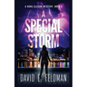 A Special Storm: Crime Fiction Novels (A Dora Ellison Mystery Book 5)