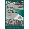 Forging Democracy from Below: Insurgent Transitions in South Africa and El Salvador