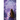 Iris in Violet
