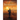 The Transmigrant