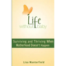 Life Without Baby: Surviving and Thriving When Motherhood Doesn't Happen