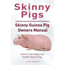 Skinny Pig. Skinny Guinea Pigs Owners Manual. How to raise happy and healthy Skinny Pigs.