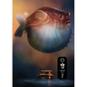 Underland Arcana 7