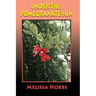 Under the Pomegranate Sun