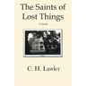 The Saints of Lost Things