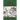 Sonnets of the Christmas Season