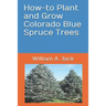 How-To Plant and Grow Colorado Blue Spruce Trees