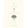 How Does Sanctification Work?