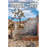 A Landscape Photographer's Guide to Joshua Tree National Park