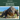 Komodo Dragons