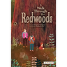 A Walk Through the Redwoods