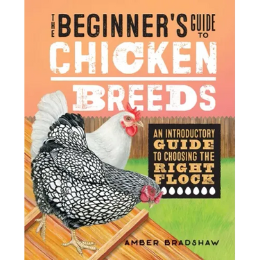The Beginner's Guide to Chicken Breeds: An Introductory Guide to Choosing the Right Flock