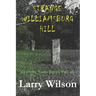 Strange Williamsburg Hill