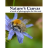 Nature's Canvas, a book of photographs for the soul: a coffee table book of photographs of nature, relaxing images to enjoy and share