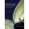 Reading the Bible Wisely: An Introduction to Taking Scripture Seriously. Revised Edition.